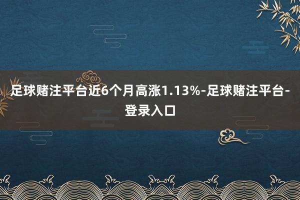 足球赌注平台近6个月高涨1.13%-足球赌注平台-登录入口