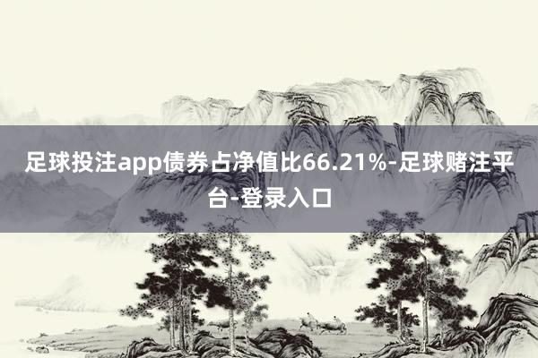 足球投注app债券占净值比66.21%-足球赌注平台-登录入口