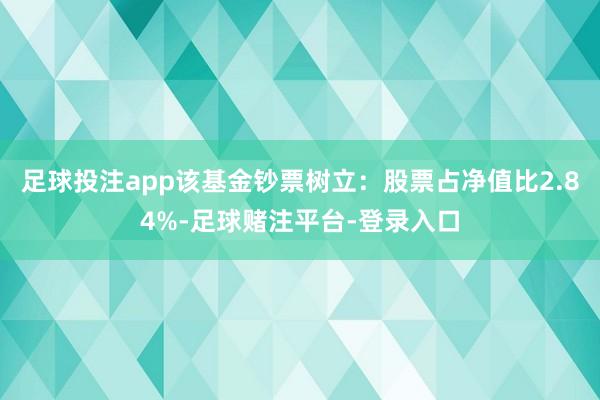 足球投注app该基金钞票树立：股票占净值比2.84%-足球赌注平台-登录入口
