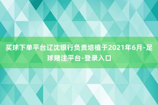 买球下单平台辽沈银行负责培植于2021年6月-足球赌注平台-登录入口