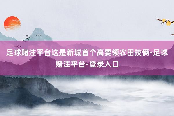 足球赌注平台这是新城首个高要领农田技俩-足球赌注平台-登录入口