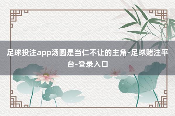 足球投注app汤圆是当仁不让的主角-足球赌注平台-登录入口