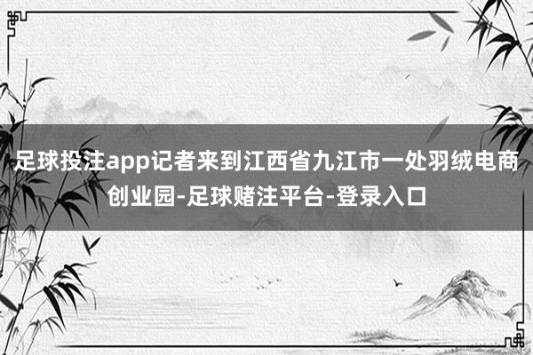 足球投注app记者来到江西省九江市一处羽绒电商创业园-足球赌注平台-登录入口