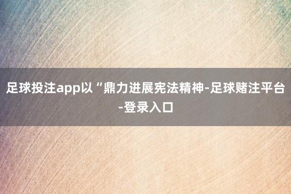 足球投注app以“鼎力进展宪法精神-足球赌注平台-登录入口