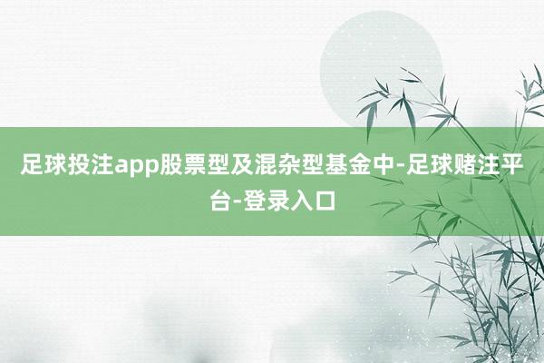 足球投注app股票型及混杂型基金中-足球赌注平台-登录入口