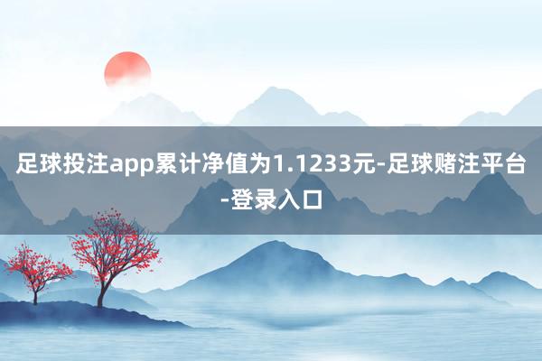 足球投注app累计净值为1.1233元-足球赌注平台-登录入口