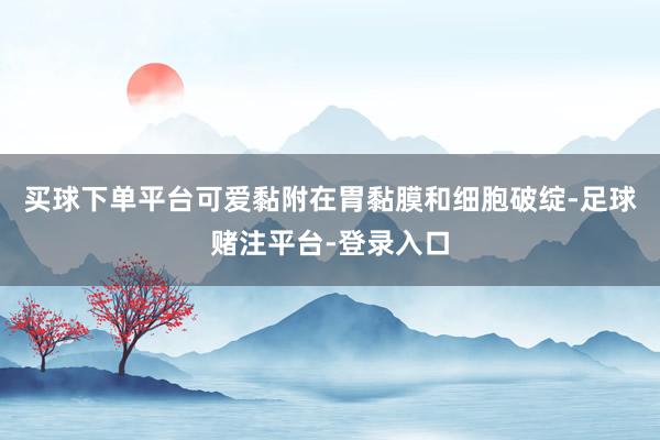 买球下单平台可爱黏附在胃黏膜和细胞破绽-足球赌注平台-登录入口