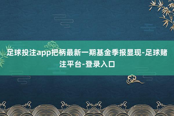 足球投注app把柄最新一期基金季报显现-足球赌注平台-登录入口