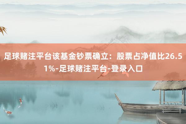 足球赌注平台该基金钞票确立：股票占净值比26.51%-足球赌注平台-登录入口