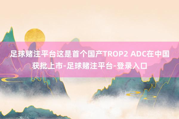 足球赌注平台这是首个国产TROP2 ADC在中国获批上市-足球赌注平台-登录入口