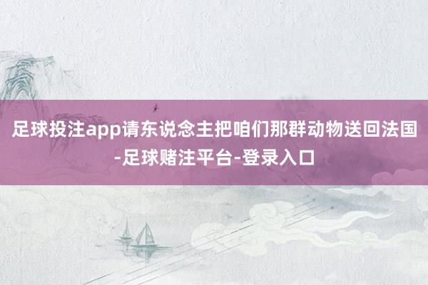 足球投注app请东说念主把咱们那群动物送回法国-足球赌注平台-登录入口