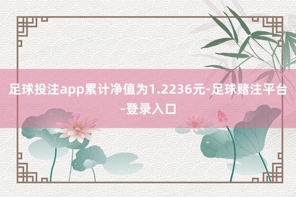 足球投注app累计净值为1.2236元-足球赌注平台-登录入口
