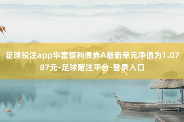 足球投注app华富恒利债券A最新单元净值为1.0787元-足球赌注平台-登录入口