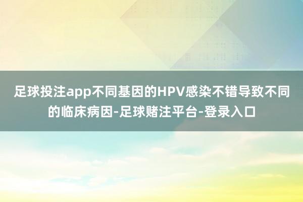 足球投注app不同基因的HPV感染不错导致不同的临床病因-足球赌注平台-登录入口