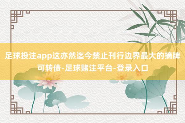 足球投注app这亦然迄今禁止刊行边界最大的摘牌可转债-足球赌注平台-登录入口