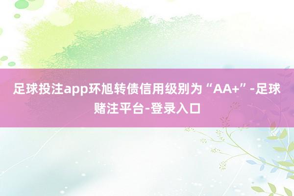 足球投注app环旭转债信用级别为“AA+”-足球赌注平台-登录入口