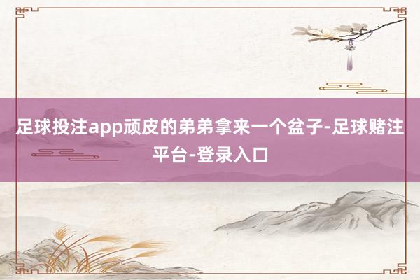 足球投注app顽皮的弟弟拿来一个盆子-足球赌注平台-登录入口