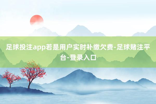 足球投注app若是用户实时补缴欠费-足球赌注平台-登录入口